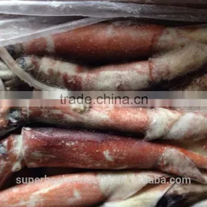 Frozen Squid Todarodes Pacificus thumbnail-1