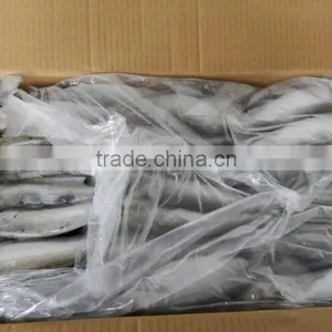 FROZEN SARDINE WHOLE ROUND thumbnail-5