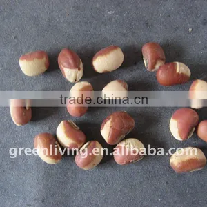 Sell Cowpea thumbnail-1