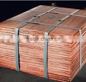 High Quality Copper Cathode Hot Sale (B54) thumbnail-6