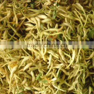 Chinese Herbal Dried Honeysuckle Flower Healthy and Natural thumbnail-3