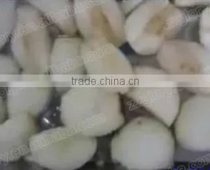 High-Rate Commercial Fruit Peeling Machine, Fruit Peeler thumbnail-4
