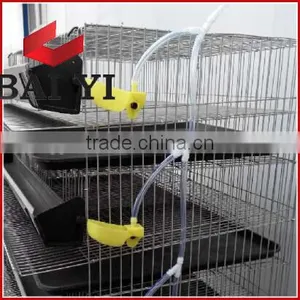 Quail Egg Cage For Quail Egg Production thumbnail-4