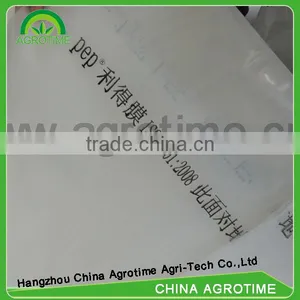 PEP Film Covering for Green House thumbnail-1