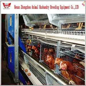 Professional Automatic Chicken Cage for Poultry Chicken Farm thumbnail-5