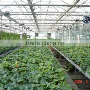 Nursery Greenhouse thumbnail-5