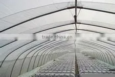 Transparent Ldpe Agriculture Film thumbnail-1