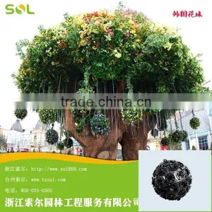Plastic Flower Pot for Home Garden Decoration thumbnail-4