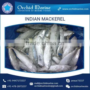 A Grade Good Taste Canned Indian Mackerel Fish Supplier thumbnail-4