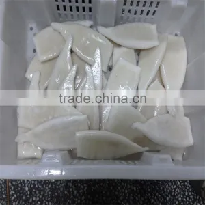 Pacific Squid Tube Frozen thumbnail-2