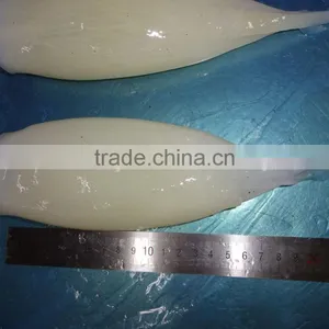 Shishi Zhengyuan Aquatic Frozen Illex Squid Tube thumbnail-1