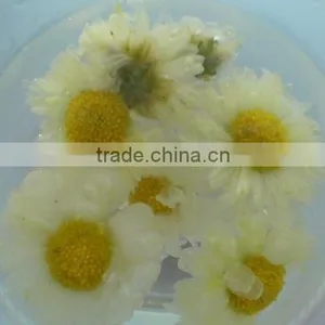 Herbs thumbnail-1