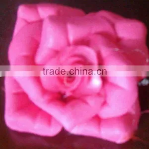 Rose thumbnail-1