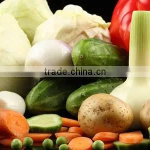 New Crop Chinese Fresh Carrot for Sale thumbnail-4