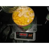 Canned 5-fruit-cocktail in Light Syrup thumbnail-1