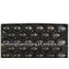 PP Kiwi Tray thumbnail-1