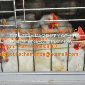 Myanmar Poultry Farm Hot Galvanized Cage & Automatic Broiler Cage & Battery Chicken Cage With Automatic Manurre Removal System thumbnail-1