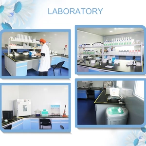 Shenghongda Hygiene Products Co., Ltd. company overview - view 1 thumbnail