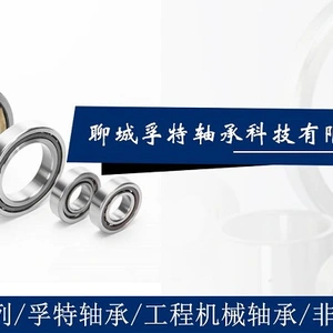 Liaocheng Fute Bearing Technology Co., Ltd. company overview - view 1 thumbnail
