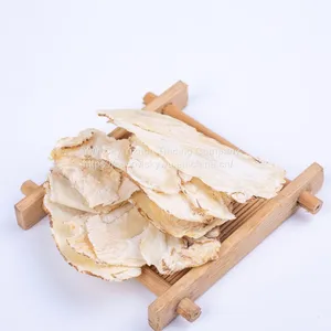 Ease Blood Pressure With Herbal Medicine Angelica Root thumbnail-1