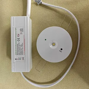LED Emergency Downlight 3 Watts 180 Minutes Made In China thumbnail-2