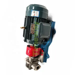 KCB Oil Transfer Pump Electrified Unit KCB33.3 Gear Type Fuel Pump With Motor 304 Stainless Steel Self-priming Pump thumbnail-6