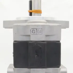 Hydraulic Pump SDY1 SDY SD DDG SDB SD1 Gear Pump SDY1-275L896 Hydraulic Oil Pump SDY1-275L896 thumbnail-1
