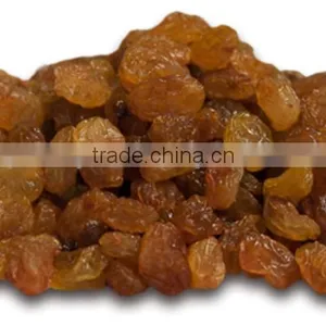 Golden Dark Raisin thumbnail-1
