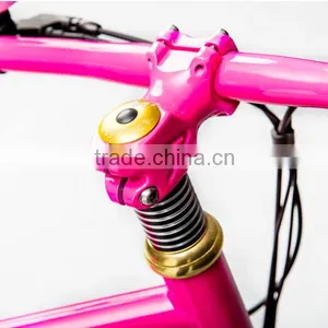 New Products Colorful Road Electric Bike for Lady's thumbnail-6