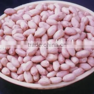 Chinese Big Peanut Kernels 24/28 28/32 34/38 38/42 thumbnail-1
