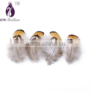 Feathers Hair Accesories Peasant Feathers thumbnail-1