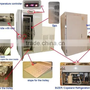 Instant Freezer for 300kg Strawberry Freezing thumbnail-6