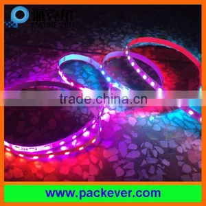 2 Year Warranty SMD5050 60 LEDs/m 10 Pixels/m Addressable 24V RGBW DMX512 LED Tape thumbnail-2