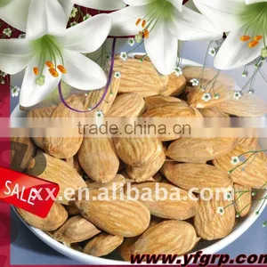 American Type Almond thumbnail-1