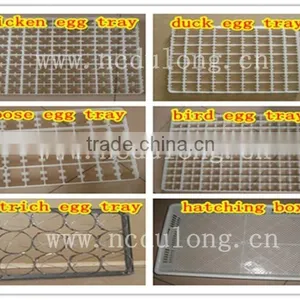 Incubator Prices India Machine for Chick thumbnail-3