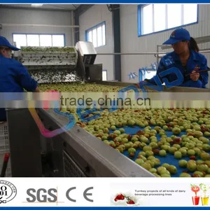 Date Syrup Processing thumbnail-3
