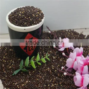 New Crop 2016 Black Broomcorn Millet Black Millet thumbnail-1