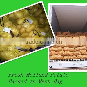 High Quality Fresh Holland Potatoes thumbnail-1