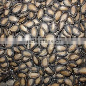 Water Melon Seeds thumbnail-3