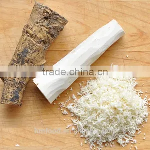 Good Quality Fresh Horseradish thumbnail-4