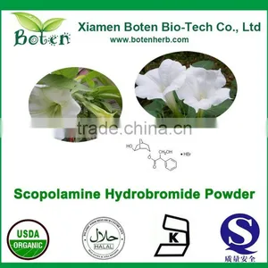 Bulk Supply White Crystalline Scopolamine-Powder-99% thumbnail-1