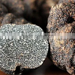 Wild Fresh Truffle thumbnail-1