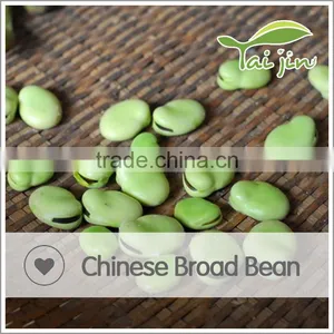 DRY BROAD BEAN thumbnail-5