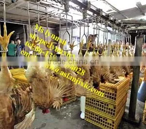 Chicken Slaughter Machine/ Halal Chicken Slaughter Machine Line thumbnail-6