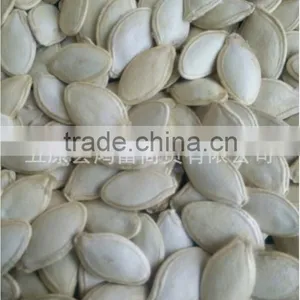 Pumkin Seed Kernels Shine Skine-grade AA thumbnail-3