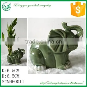 Lucky Bamboo Elephant Flower Pot thumbnail-1
