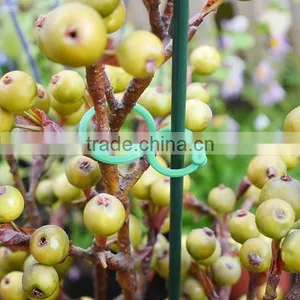 On Sale Gardening Plant Twist and Clip thumbnail-3