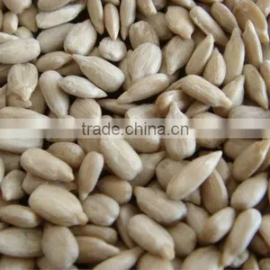 Sunflower Seed Shell Removing Machine thumbnail-2