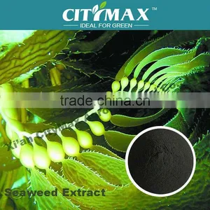 100% Ascophyllum Nodosum Derived Seaweed Foliar Fertilizer thumbnail-1