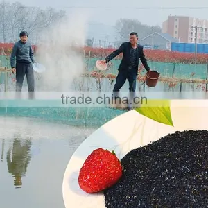 Organic Fish Fertilizer thumbnail-3